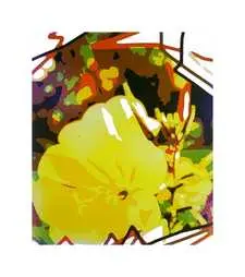 Ohne Titel