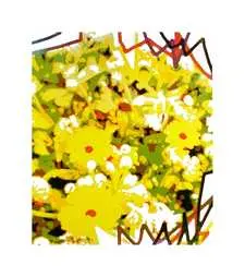 Ohne Titel