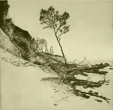 Baum am Meer