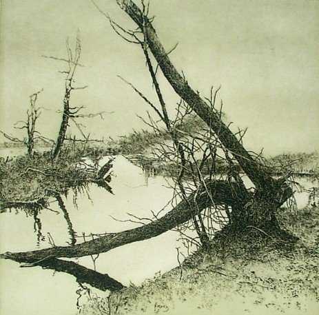 Radierung von Walter Herzog