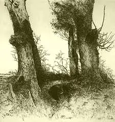 Baumwächter II