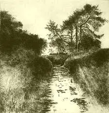 Großer Sommerweg II