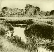 Havelwiesen