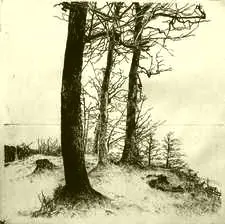 Horizont