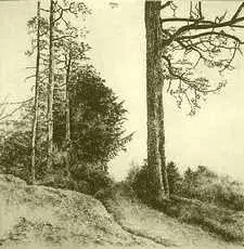 Morgenweg